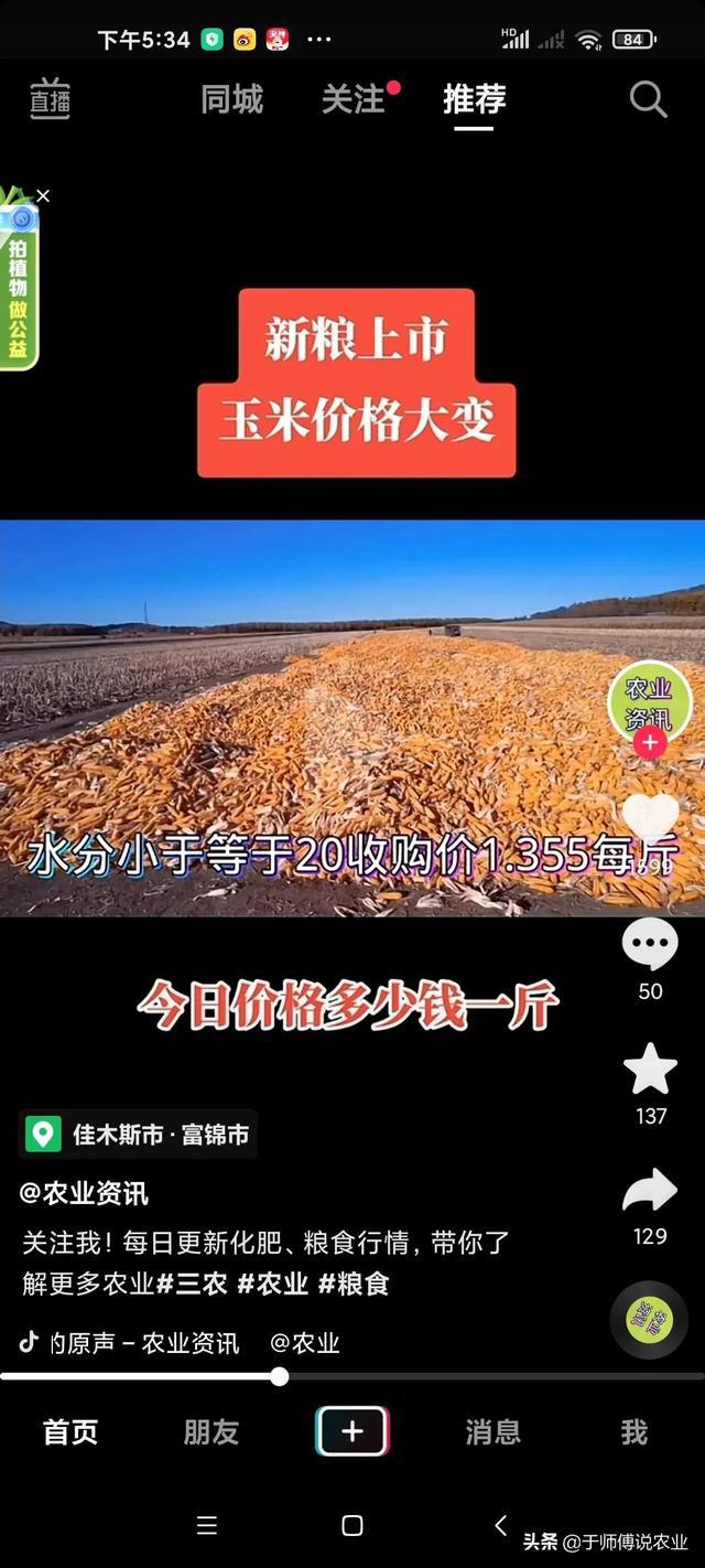 中国粮食价格最新动态，小巷深处的味觉盛宴即将开启？