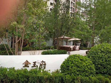 金城玉府最新动态，学习变化，自信塑造未来