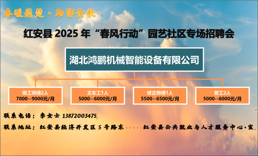 红安司机最新招聘信息，携手共筑路上的友情与家的温暖