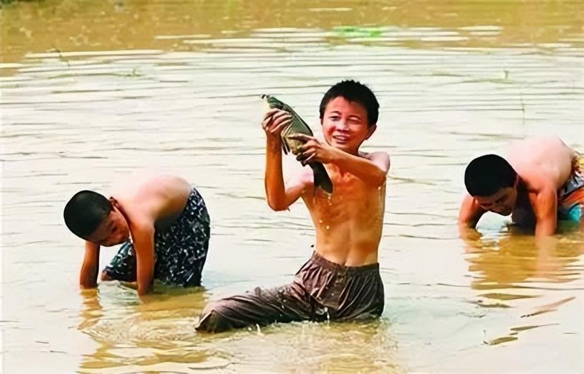 流泪的鱼最新作品，梦幻艺术之旅启程